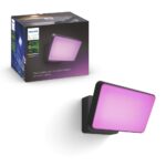 Philips hue discover outdoor floodlight 2