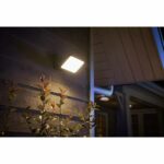 Philips hue discover outdoor floodlight