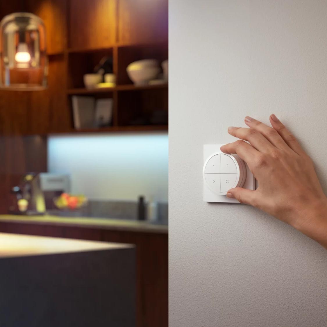 Philips hue dial switch rotating dimmer light switch